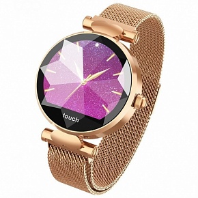    Smart Watch H1       (gold)