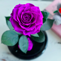 Роза в колбе ROSE LUX Premium Max 27*15*11 см (Фиолетовый)