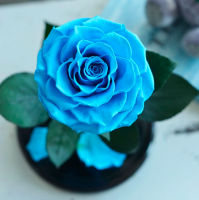 Роза в колбе ROSE LUX Premium Max 27*15*11 см (Голубой)