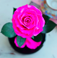 Роза в колбе ROSE LUX Premium Max 27*15*11 см (Ярко розовый)