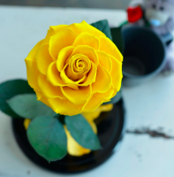 Роза в колбе ROSE LUX Premium Max 27*15*11 см (Желтый)