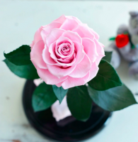 Роза в колбе ROSE LUX Premium Max 27*15*11 см (Нежно розовый)