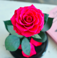 Роза в колбе ROSE LUX Premium Max 27*15*11 см (Фуксия)