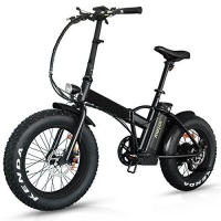 Электровелосипед Fatbike Pride 2 (черный) 500W/48V/13Ah