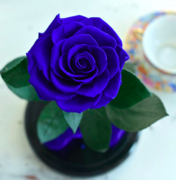 Роза в колбе ROSE LUX Premium Max 27*15*11 см (Синий)