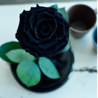 Роза в колбе ROSE LUX Premium Max 27*15*11 см (Черный)