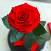 Роза в колбе ROSE LUX Premium Max 27*15*11 см (Красный)