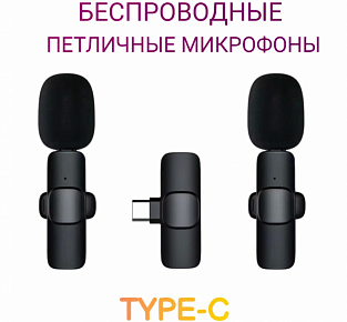            Wireless Microphone TYPE-C K9 (2 1)