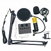        Professional Condenser Microphone Bm-800 