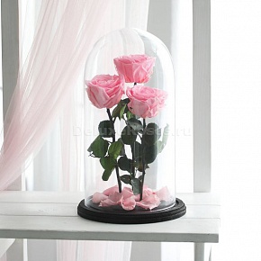 Вечная роза в стеклянной колбе композиция Trio (Розовый)