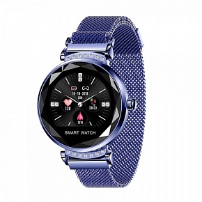    Smart Watch H2       ()