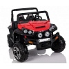   RiverToys BUGGY T009TT (4*4)    ()